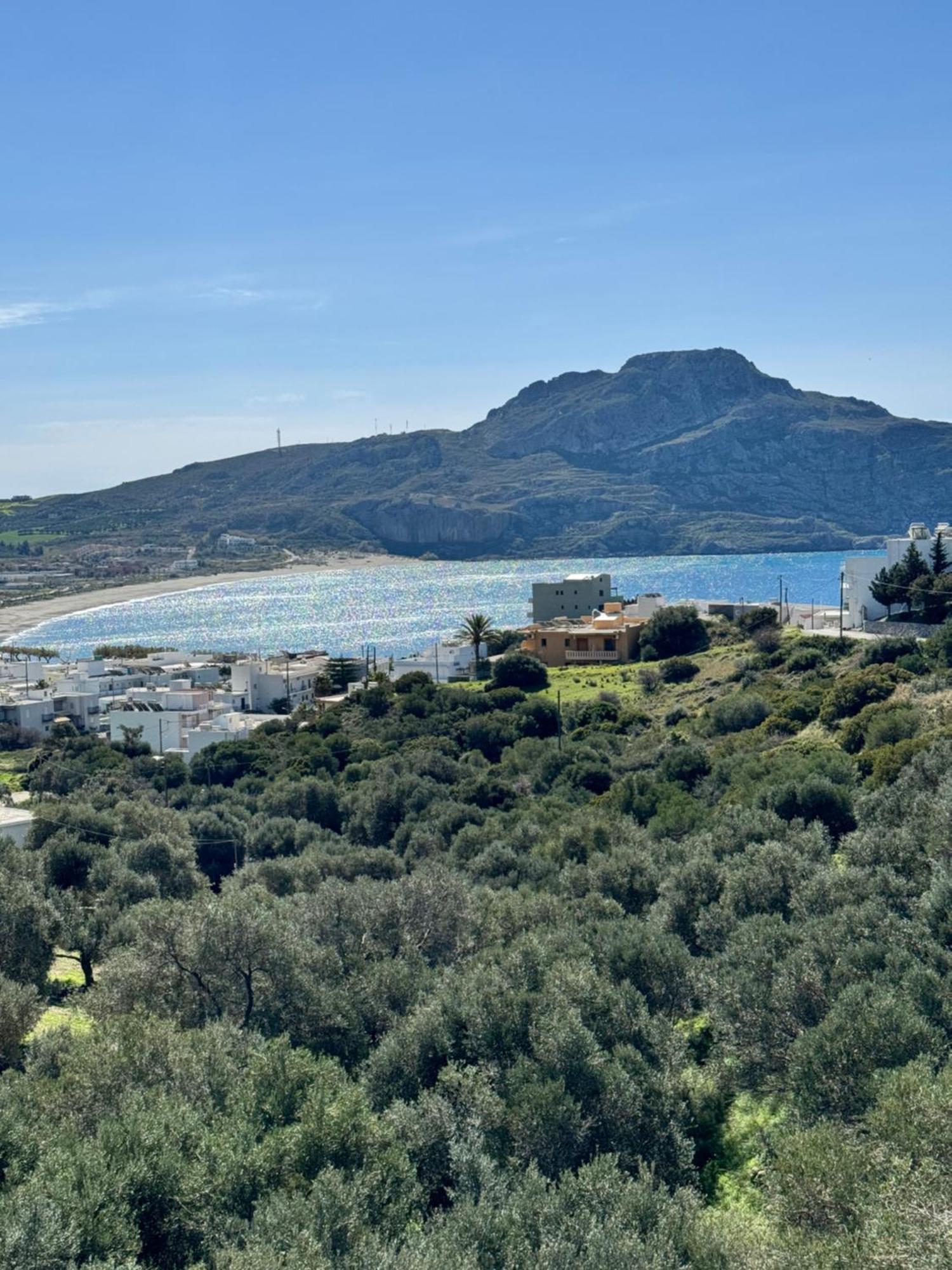 Olive Grove Διαμέρισμα Πλακιάς Εξωτερικό φωτογραφία