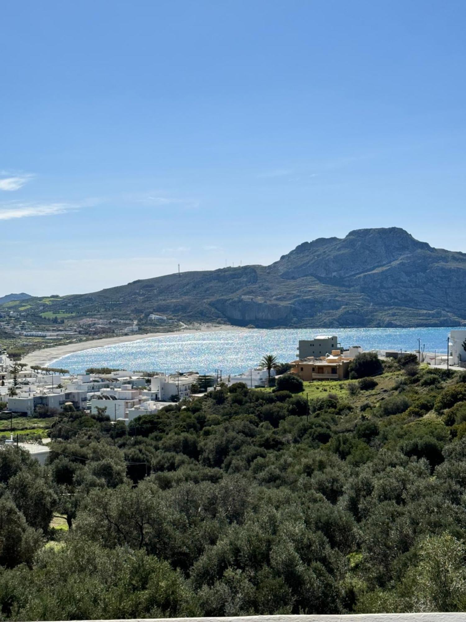 Olive Grove Διαμέρισμα Πλακιάς Εξωτερικό φωτογραφία