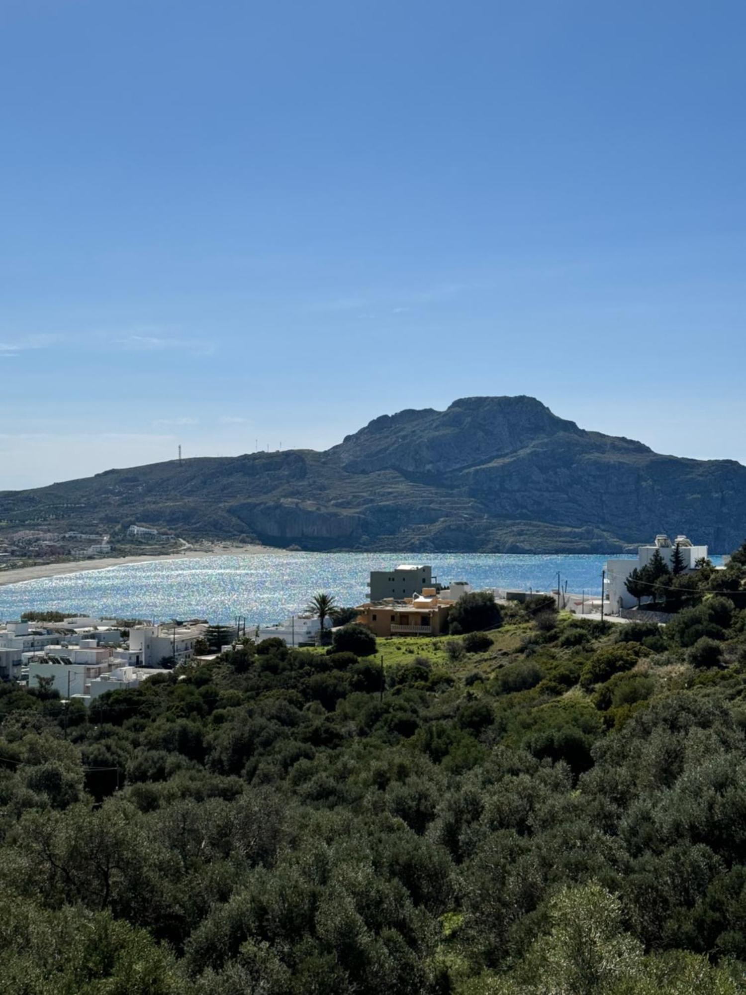 Olive Grove Διαμέρισμα Πλακιάς Εξωτερικό φωτογραφία